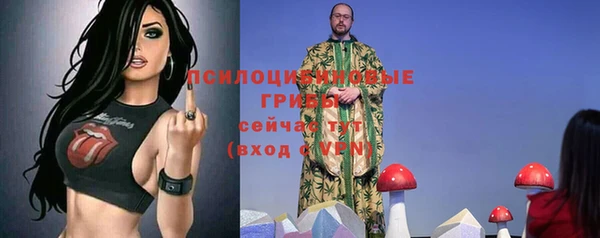 mix Вяземский